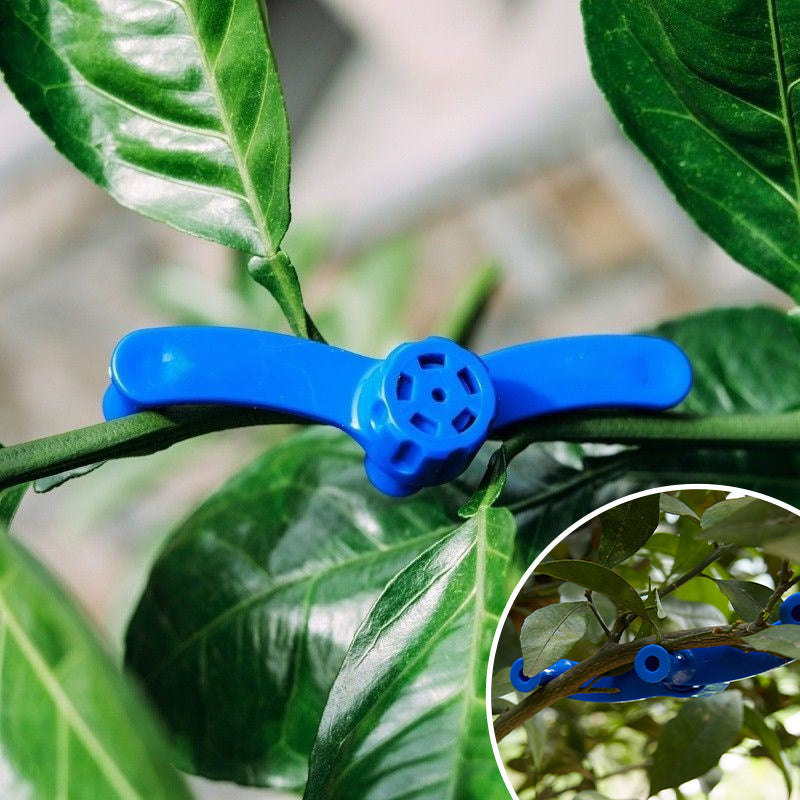 Maliben | Fixative For Branch Modeling