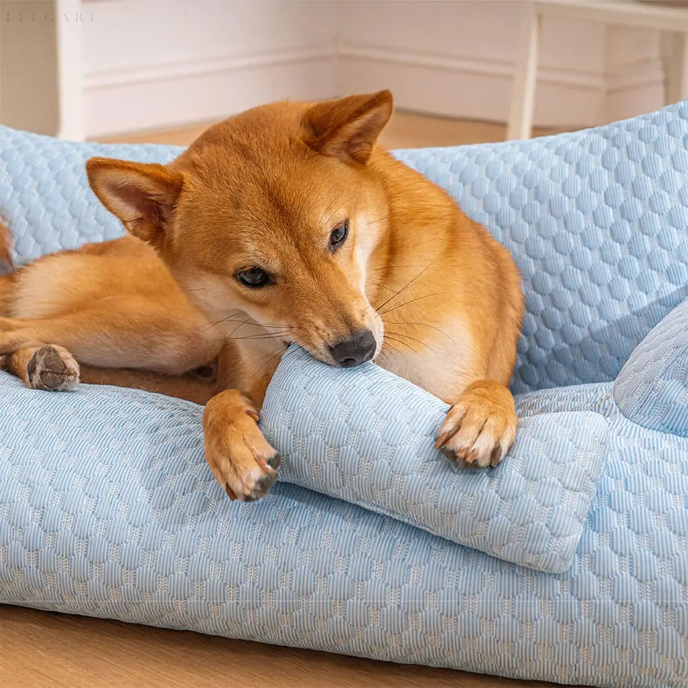Maliben | Washable Plush Cushion Bed For Pets - Cozypaws