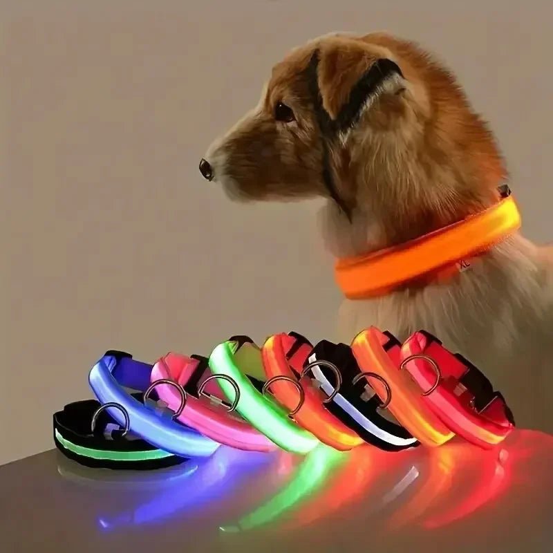 Maliben | LED Safety Dog Collar with Adjustable Fit