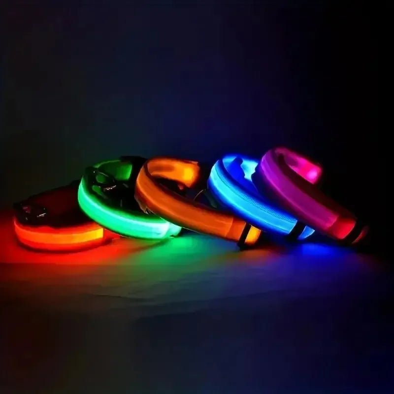 Maliben | LED Safety Dog Collar with Adjustable Fit