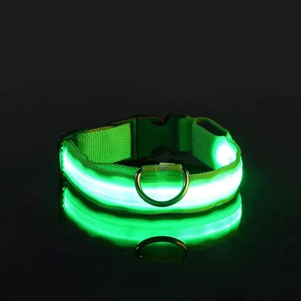 Maliben | LED Safety Dog Collar with Adjustable Fit