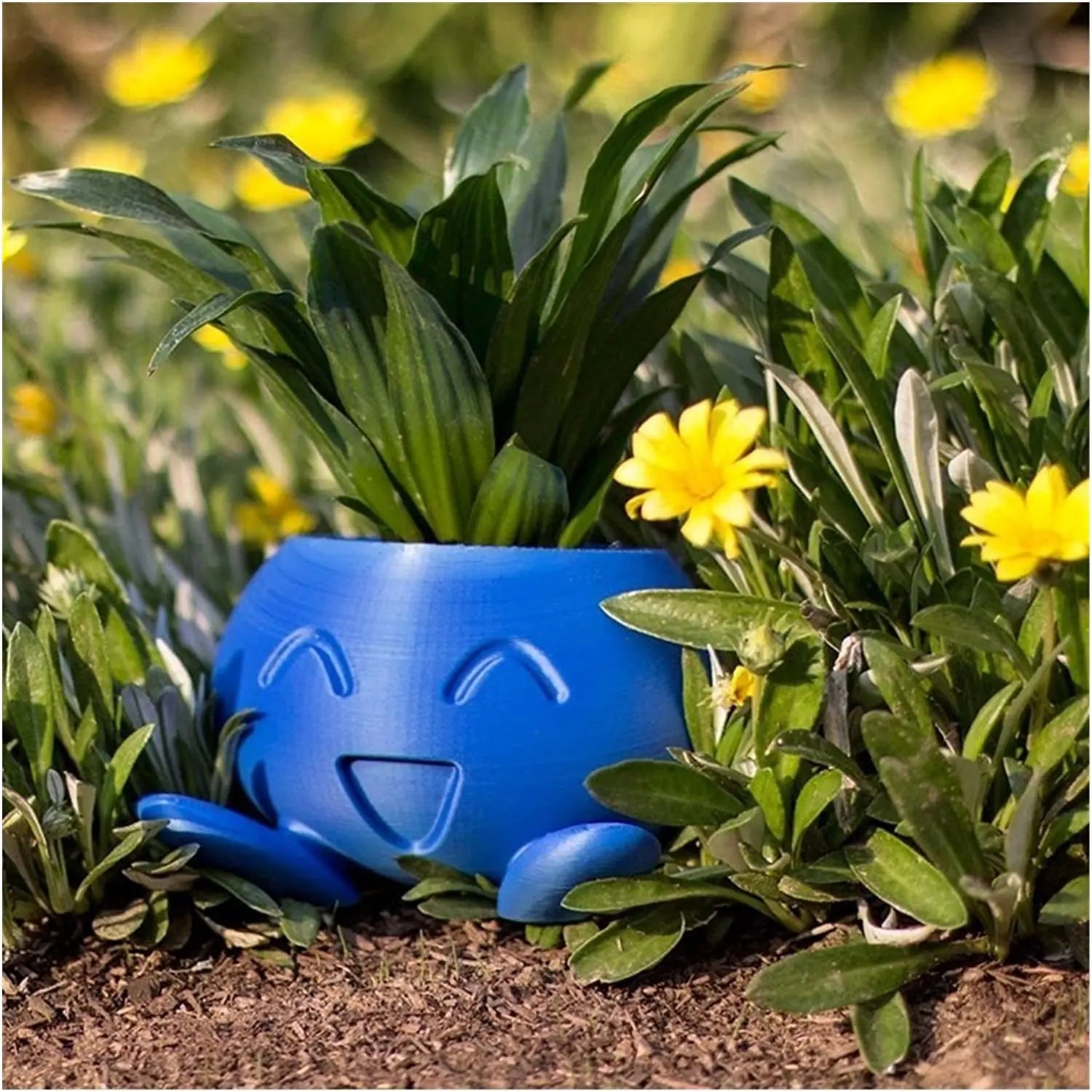 Maliben | Unique Succulent Planter - Quirkypot