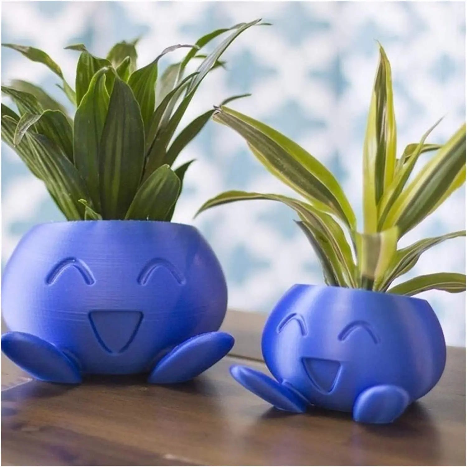 Maliben | Unique Succulent Planter - Quirkypot