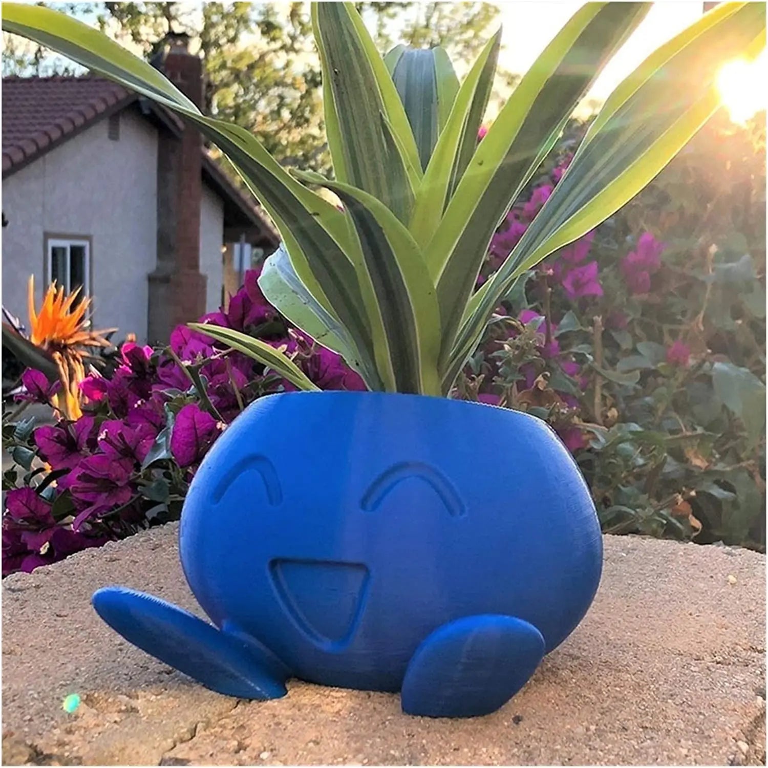 Maliben | Unique Succulent Planter - Quirkypot