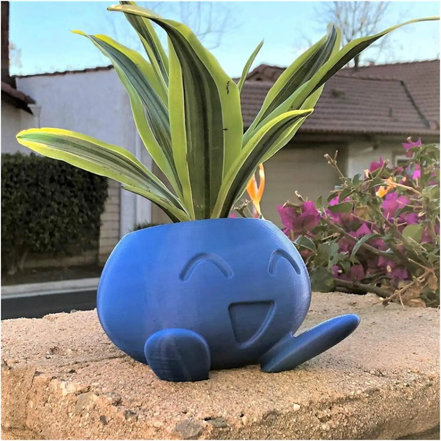 Maliben | Unique Succulent Planter - Quirkypot