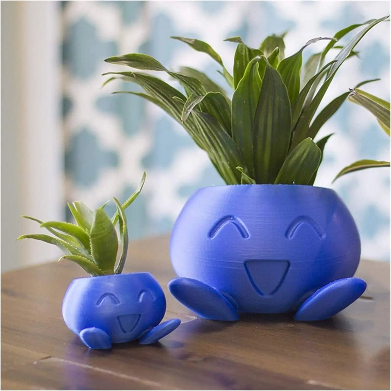 Maliben | Unique Succulent Planter - Quirkypot