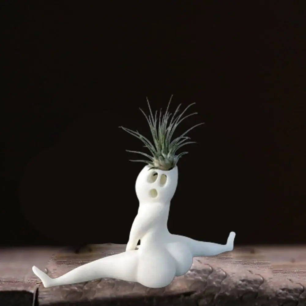Maliben | Spooky Shape Air Plant Display - Spookybuddy