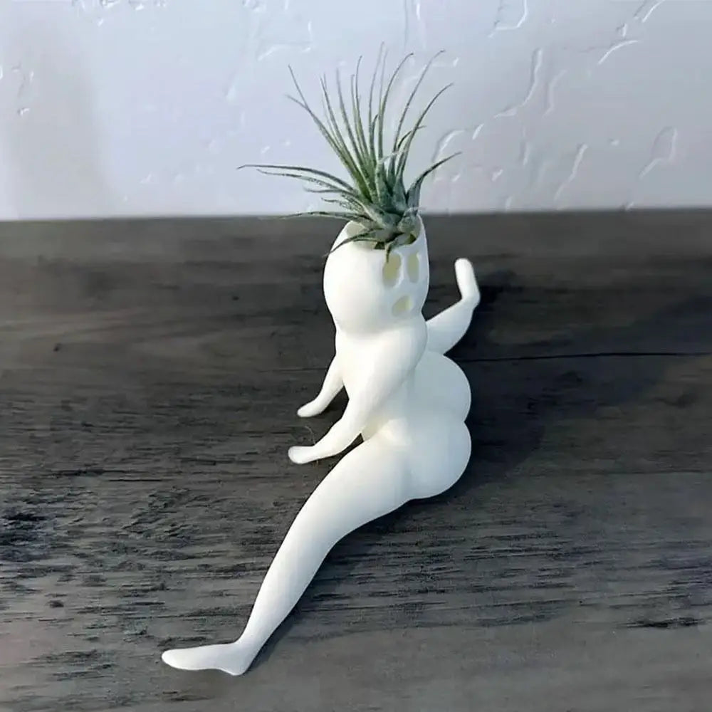 Maliben | Spooky Shape Air Plant Display - Spookybuddy