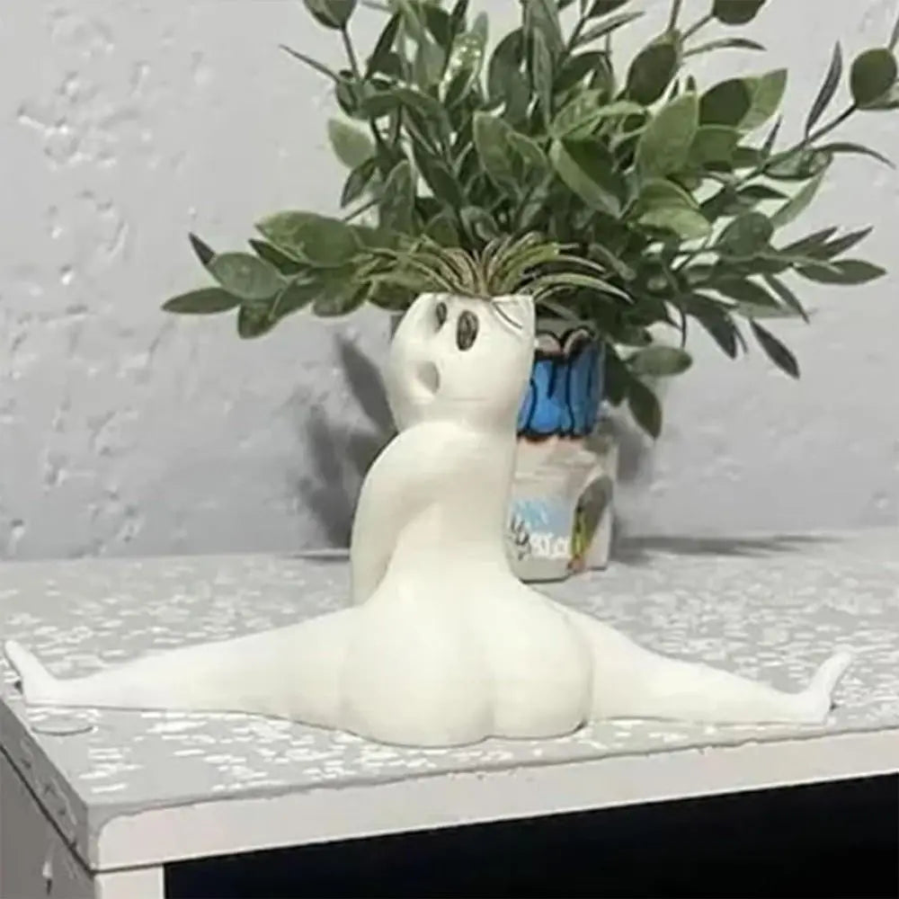 Maliben | Spooky Shape Air Plant Display - Spookybuddy