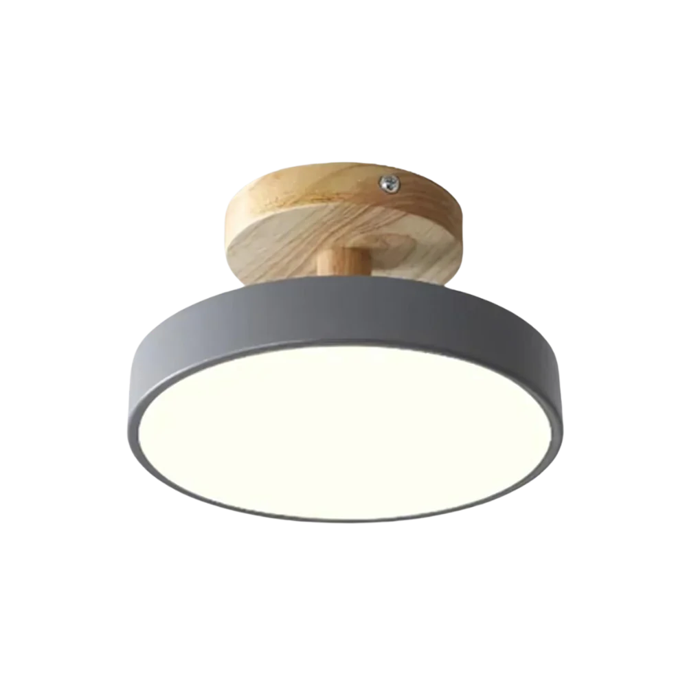 Maliben | Compact Modern Led Ceiling Lamp