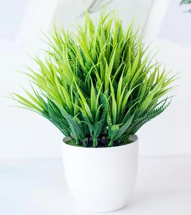 Maliben | Small Tree Pot Bonsai Plants