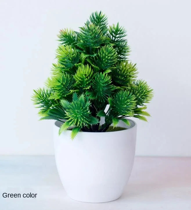 Maliben | Small Tree Pot Bonsai Plants