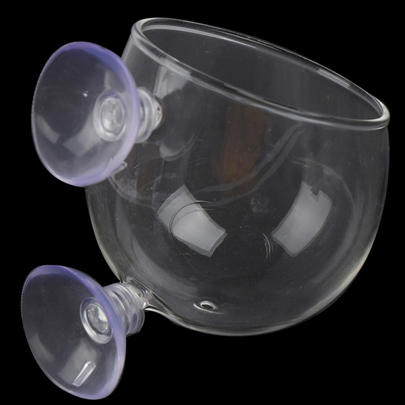 Maliben | Creative Aquarium Fish Tank Glass Vase