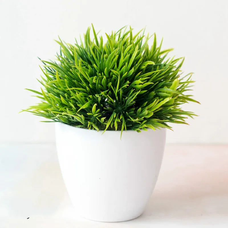 Maliben | Small Tree Pot Bonsai Plants
