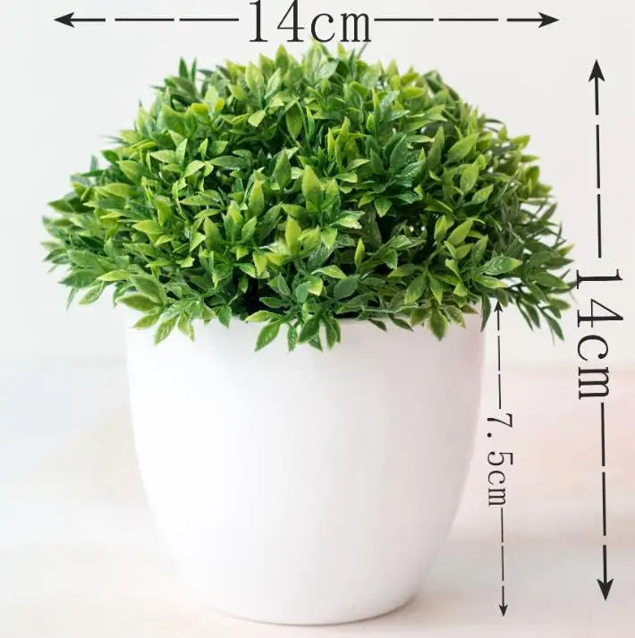 Maliben | Small Tree Pot Bonsai Plants