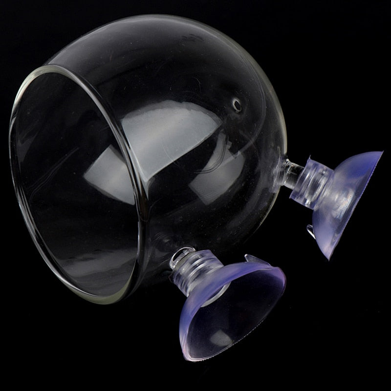 Maliben | Creative Aquarium Fish Tank Glass Vase