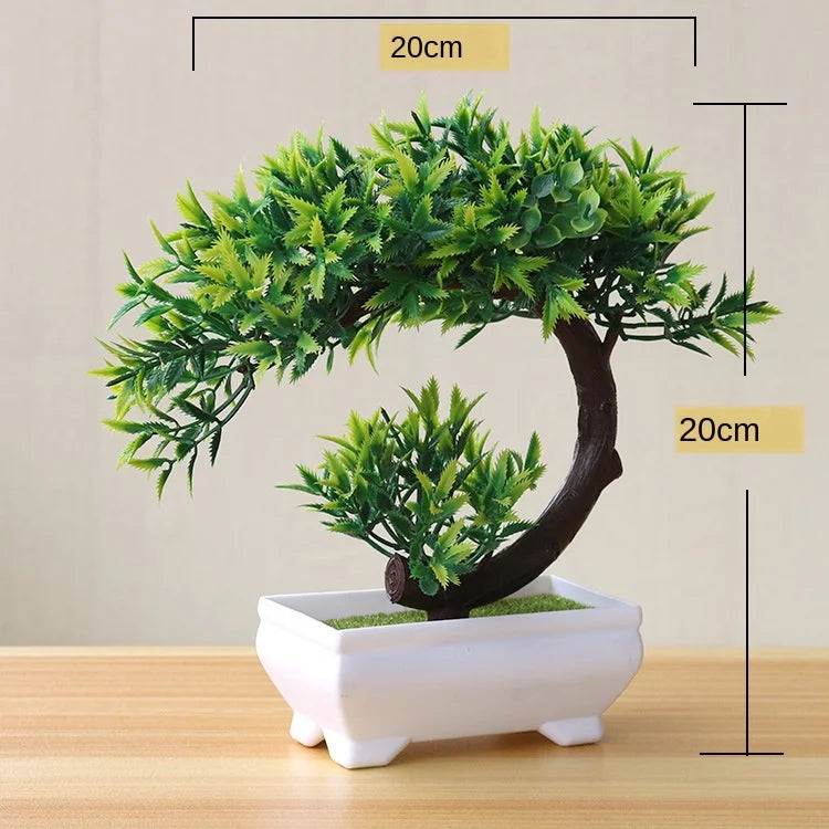Maliben | Small Tree Pot Bonsai Plants