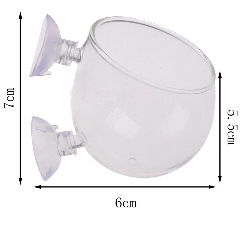 Maliben | Creative Aquarium Fish Tank Glass Vase