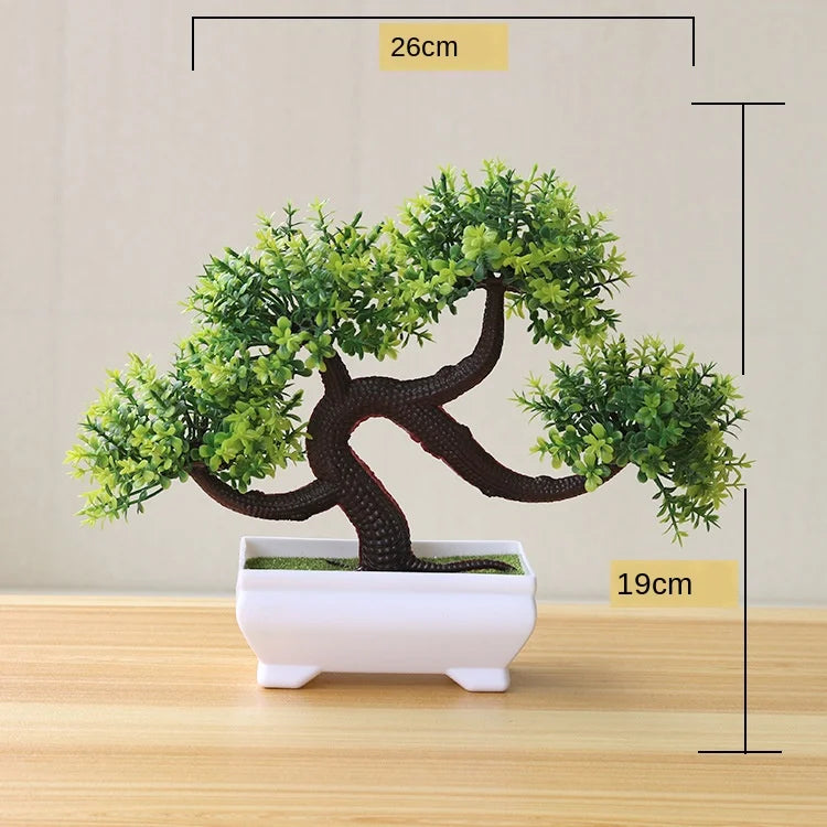 Maliben | Small Tree Pot Bonsai Plants