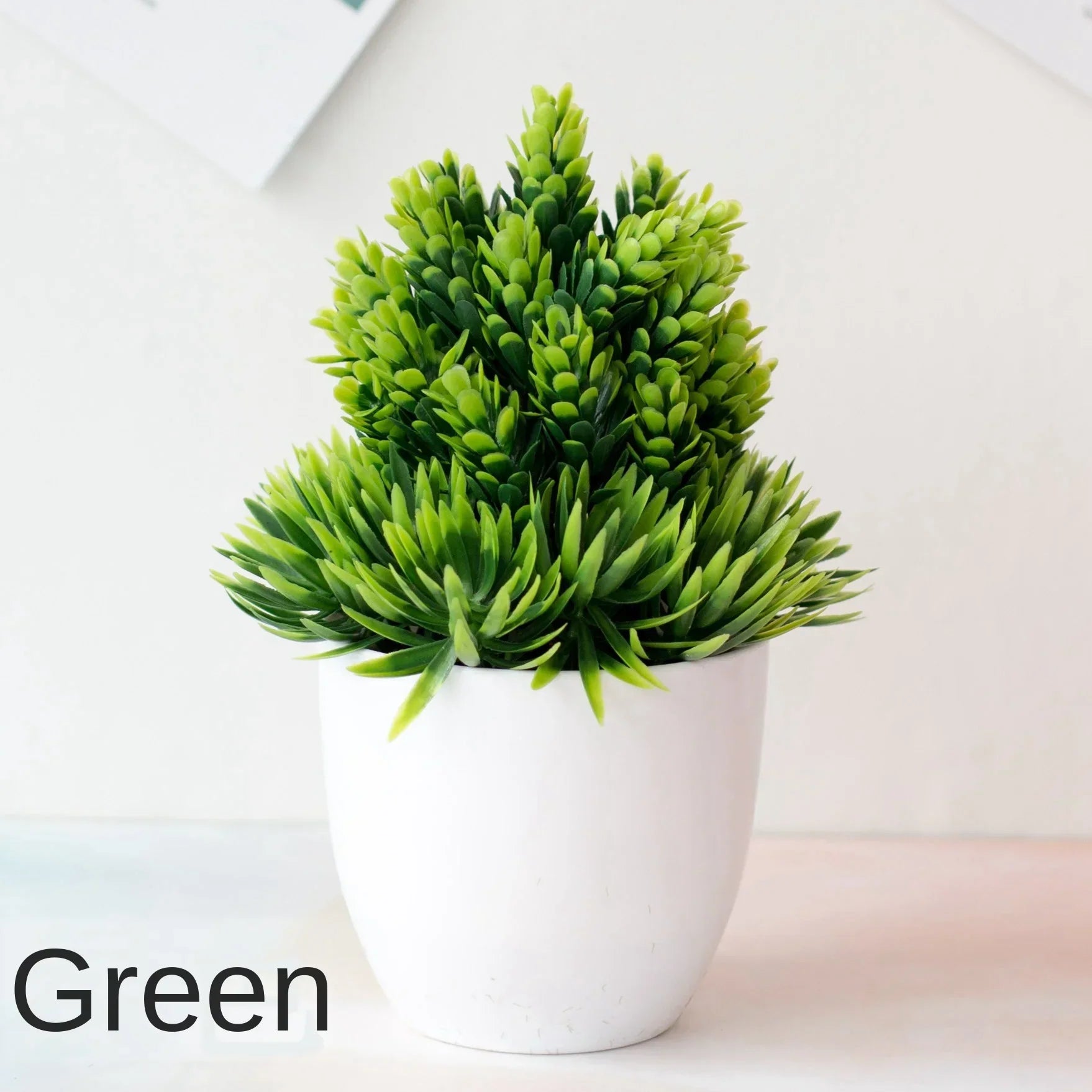Maliben | Small Tree Pot Bonsai Plants