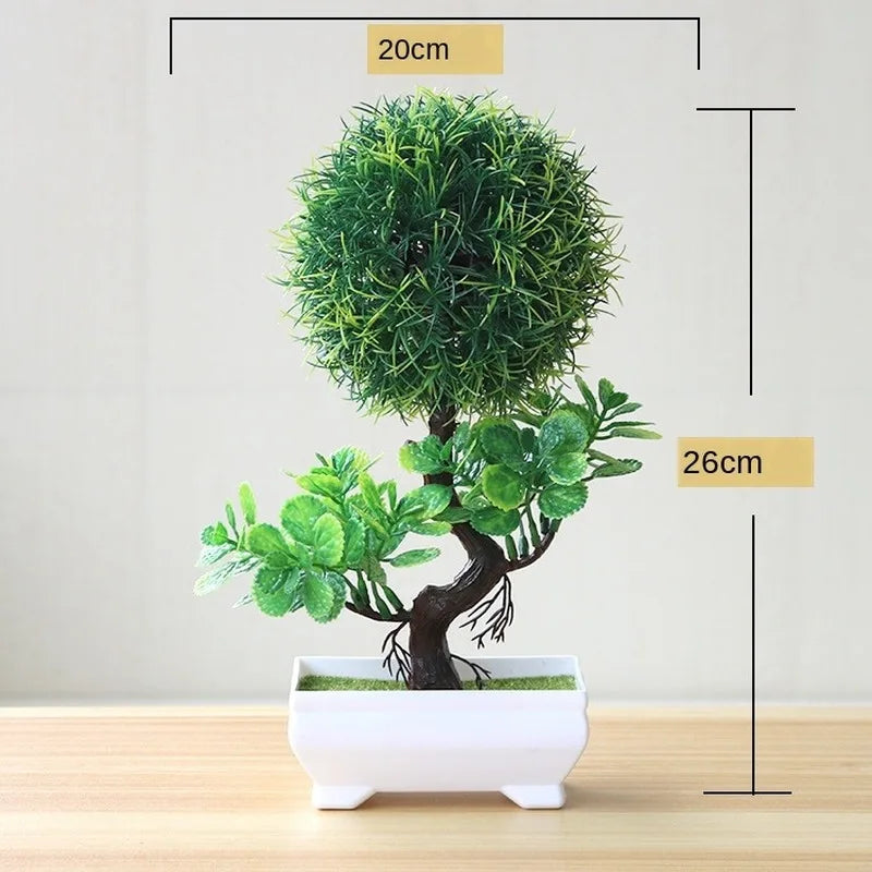 Maliben | Small Tree Pot Bonsai Plants