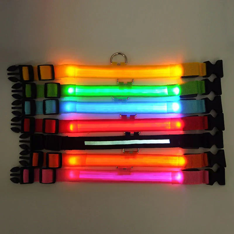 Maliben | GlowPets LED Collar – Safety & Visibility for Pets