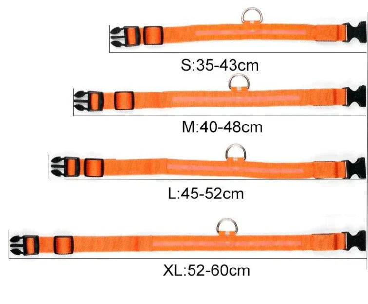 Maliben | GlowPets LED Collar – Safety & Visibility for Pets
