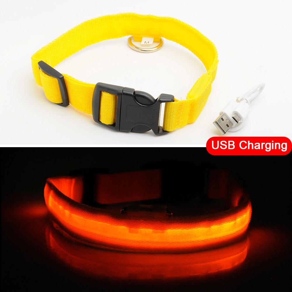 Maliben | Light Up Dog Collar - Flashing Dog Collar