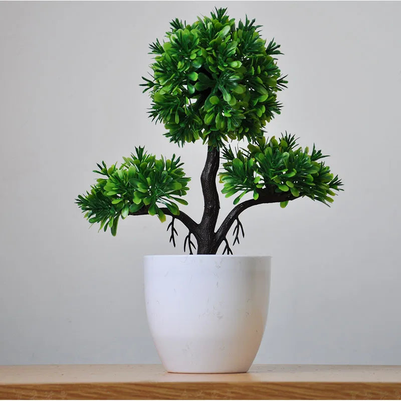 Maliben | Small Tree Pot Bonsai Plants