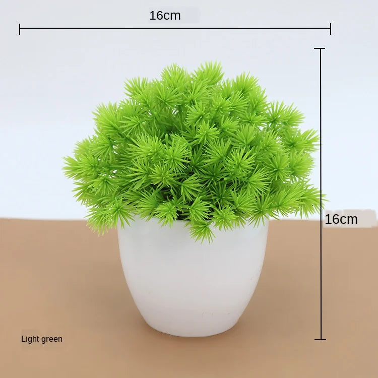 Maliben | Small Tree Pot Bonsai Plants