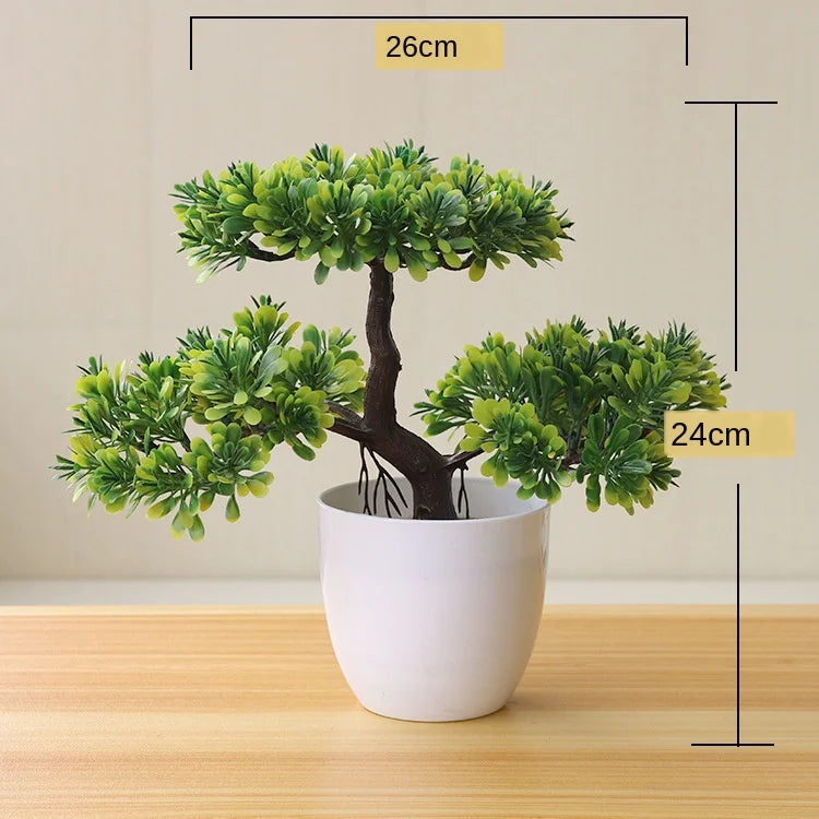 Maliben | Small Tree Pot Bonsai Plants