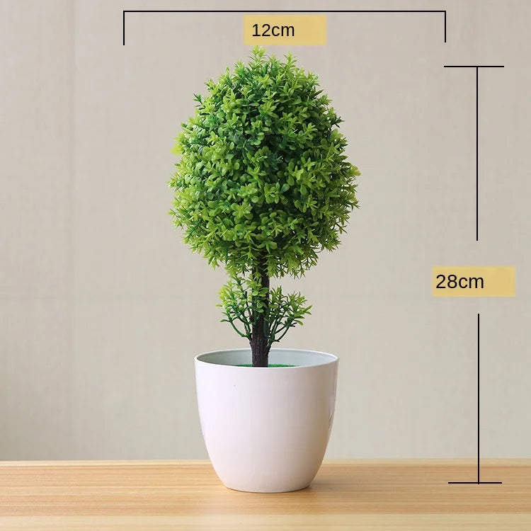 Maliben | Small Tree Pot Bonsai Plants