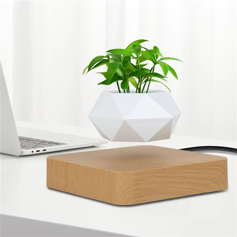 Maliben | Magnetic Levitating Bonsai Planter, Floating Flower Pot For Home And Office Décor