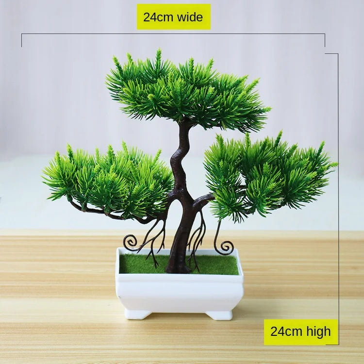 Maliben | Small Tree Pot Bonsai Plants