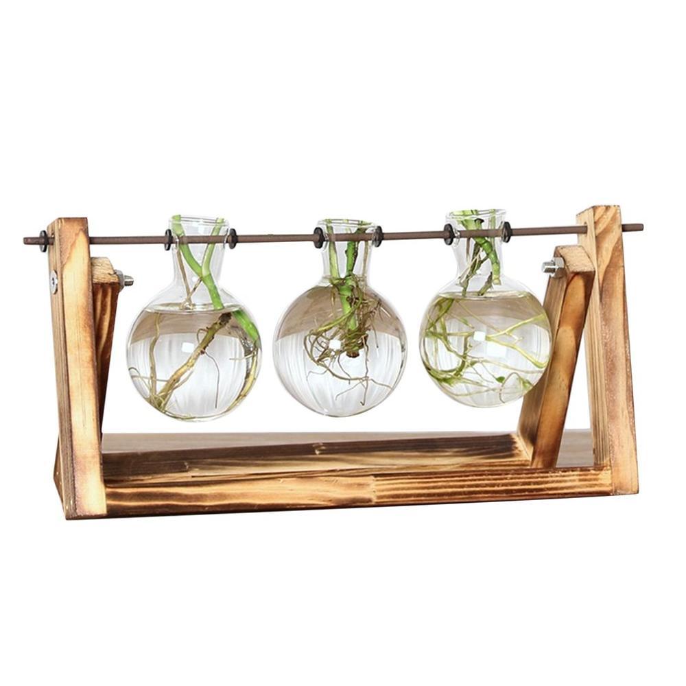 Maliben | Fauna Plants Cuttings Pots | Grow Your Own Plants At Home