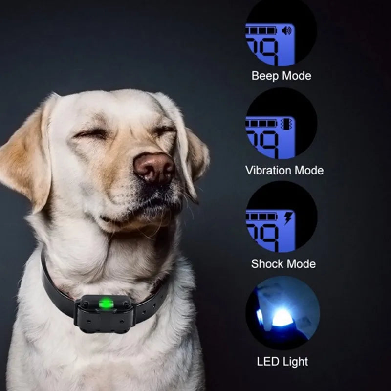 Maliben | Adjustable Electric Dog Training E-Collar – Safe, Effective Remote Control