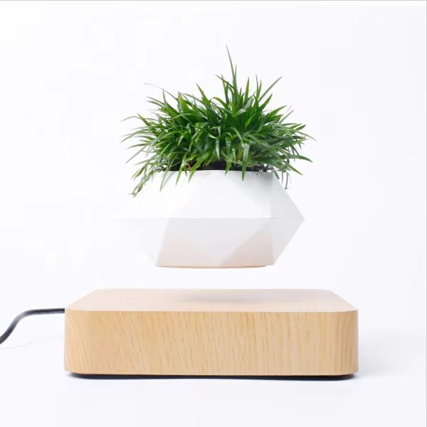 Maliben | Magnetic Levitating Bonsai Planter, Floating Flower Pot For Home And Office Décor