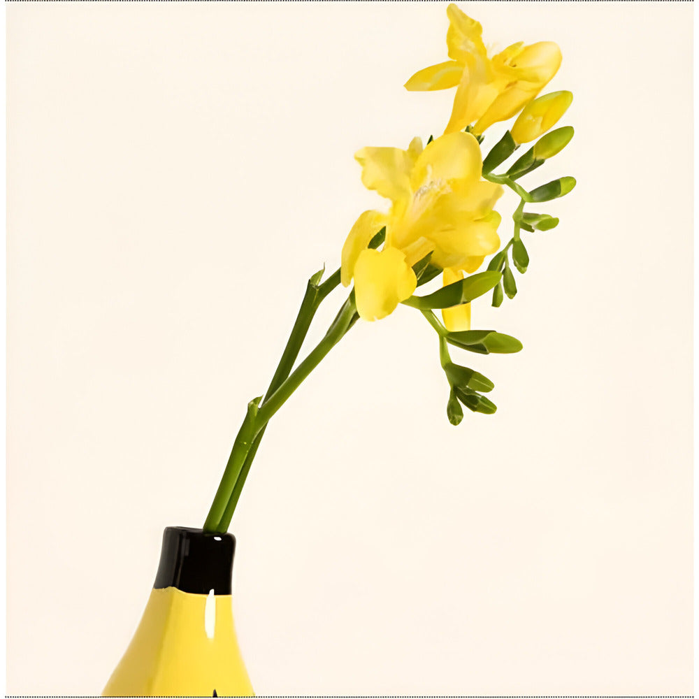 Maliben | Modern Decorative Banana-Shaped Vase