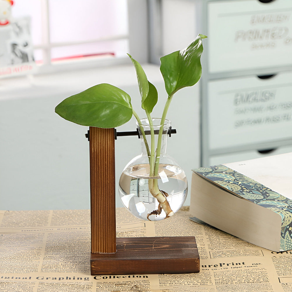 Maliben | Rustic Wooden Hydroponic Plant Holder