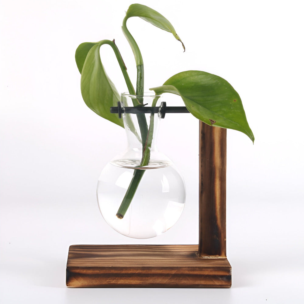 Maliben | Rustic Wooden Hydroponic Plant Holder
