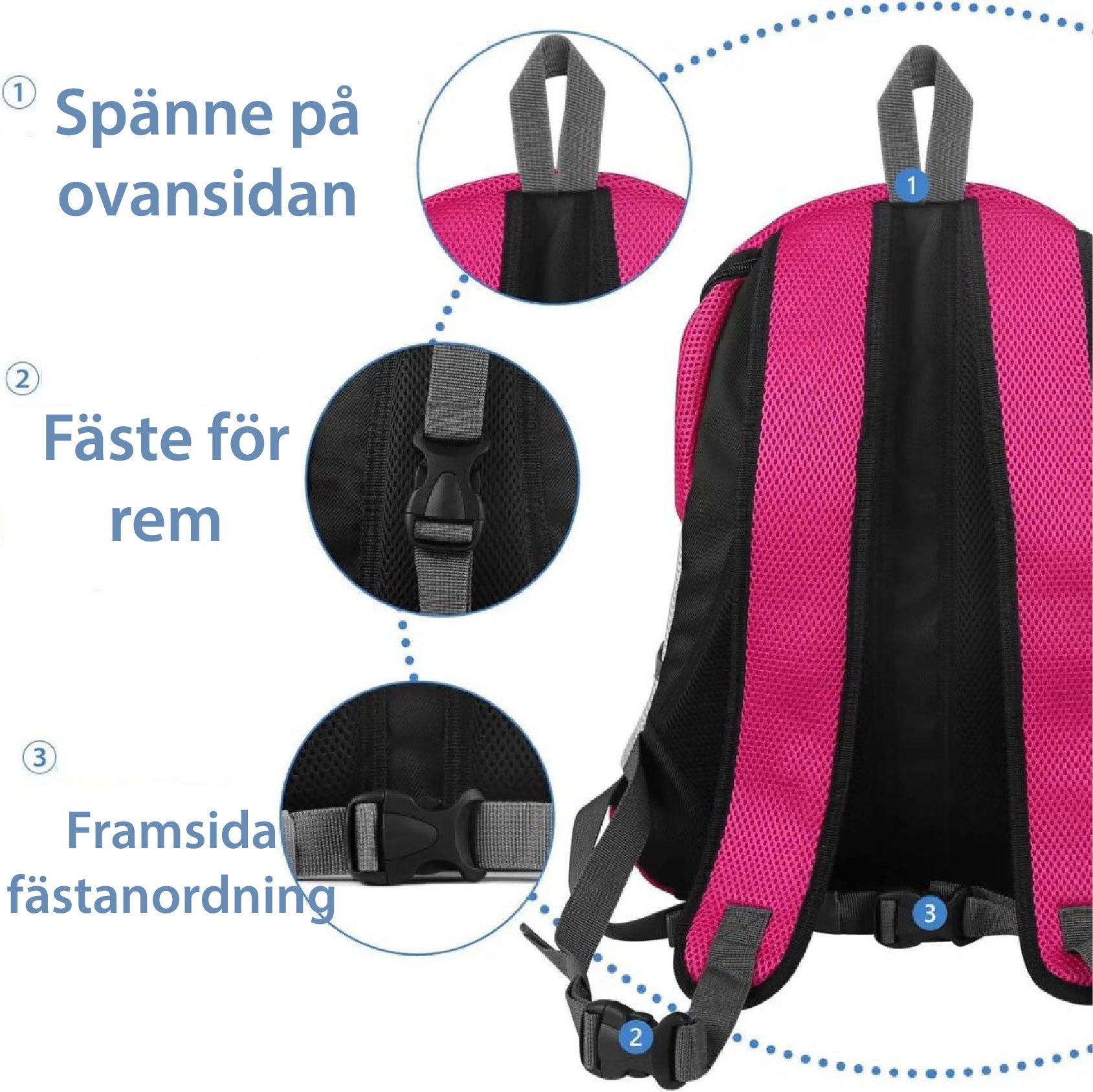 Maliben | Pawcarry – TogeTher Everywhere On the Go