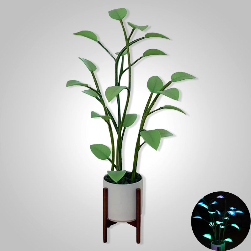 Maliben | Luminous Bloom | Magic Led Plant