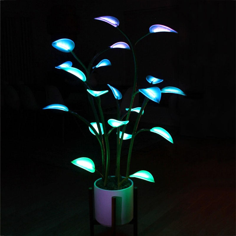 Maliben | Luminous Bloom | Magic Led Plant