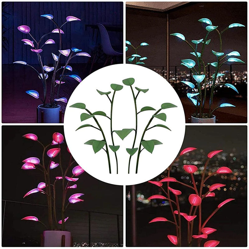Maliben | Luminous Bloom | Magic Led Plant