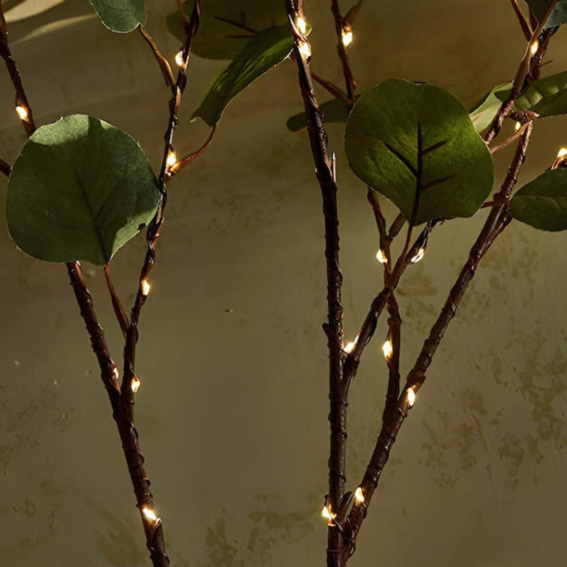 Maliben | Lumivista Magical Olive Branch Light String - 70 Cm Elegance
