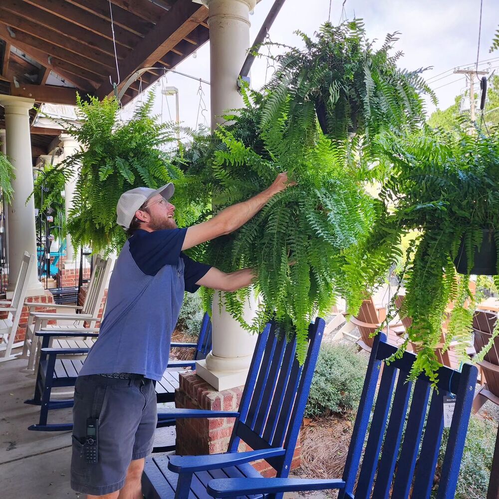 Maliben | Uv Resistant Artificial Boston Fern | Lifelike, Waterproof & Maintenance-Free For Outdoor Décor