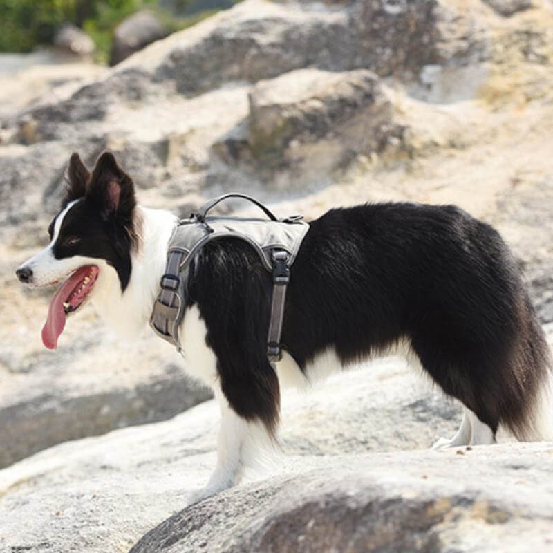 Maliben | Multifunctional explosion-proof anti-pull harness for medium to large dogs harness