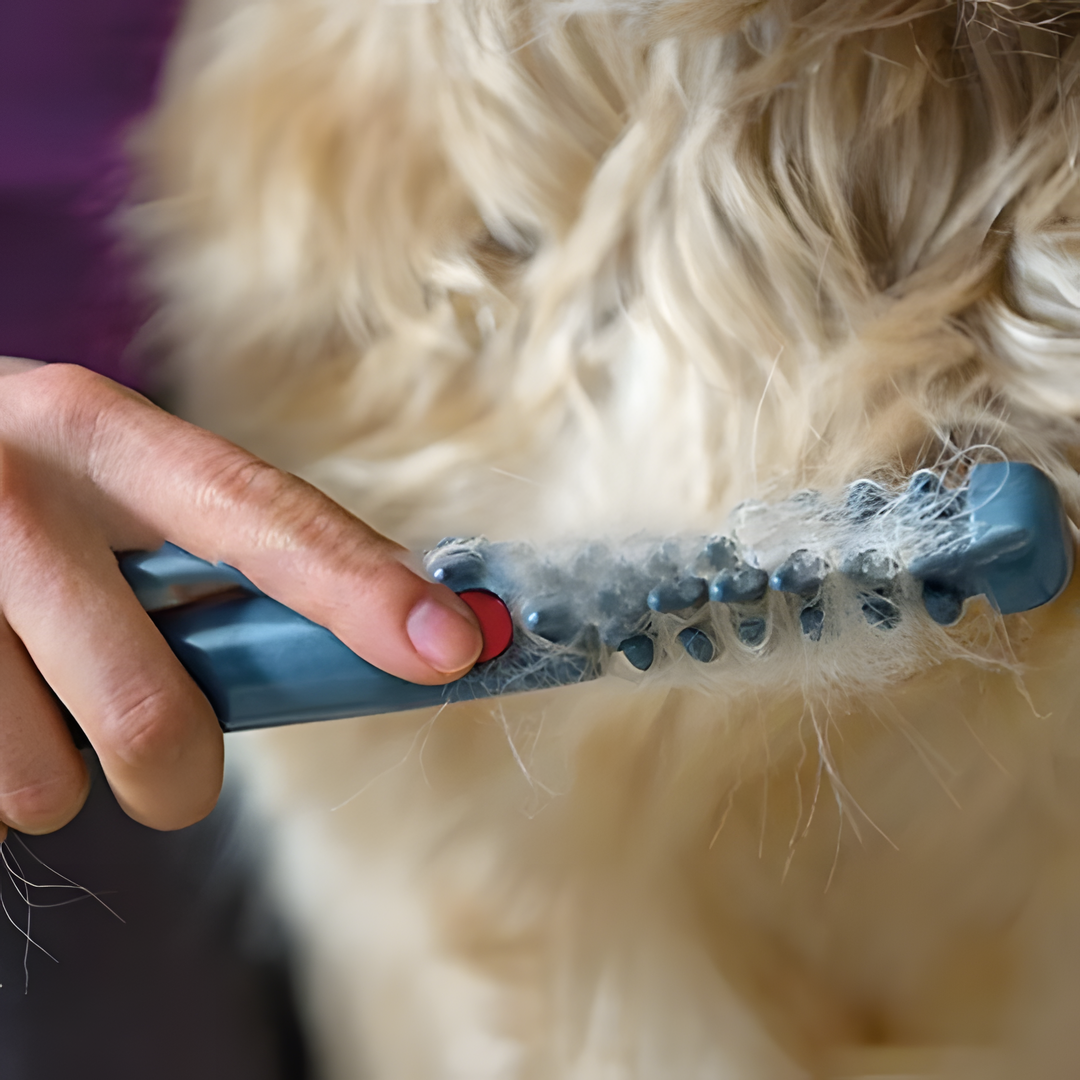 Maliben | No More Knots And Tangles For Pets