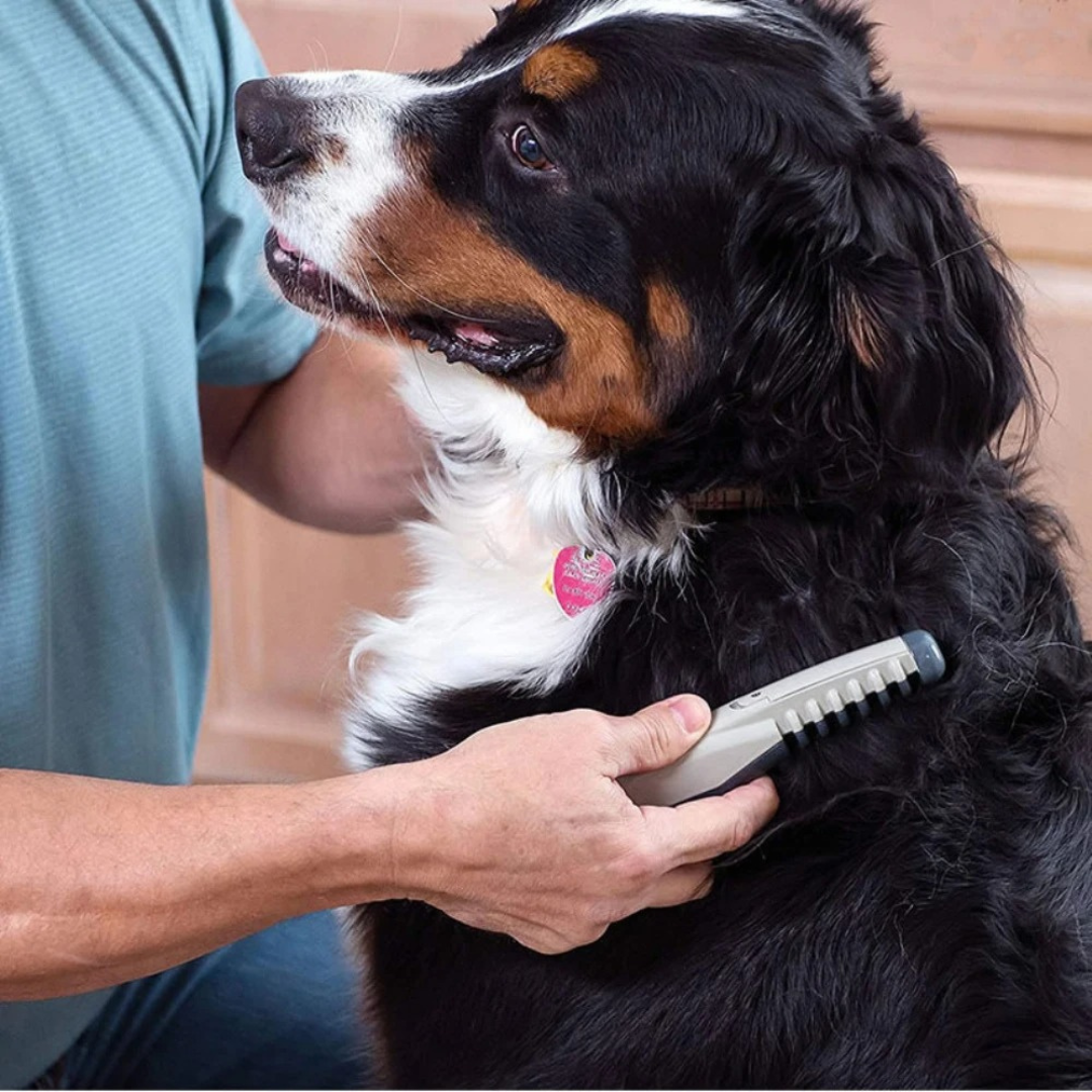 Maliben | No More Knots And Tangles For Pets