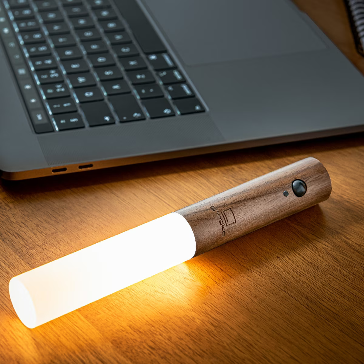 Maliben | Modern Torch Motion Light